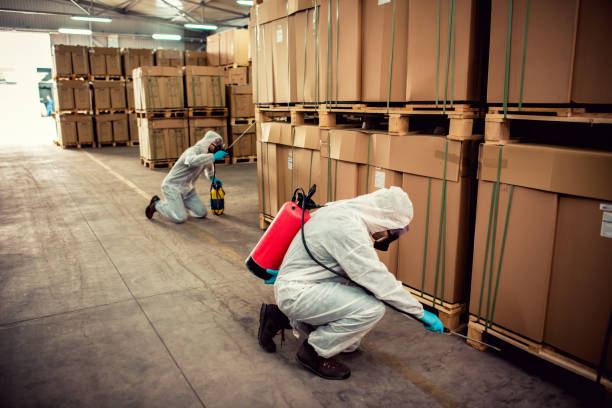  Cortland, IL Pest Control Pros