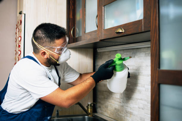 Professional Pest Control in Cortland, IL
