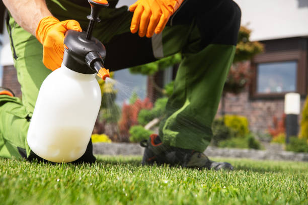 Pest Control Cost in Cortland, IL