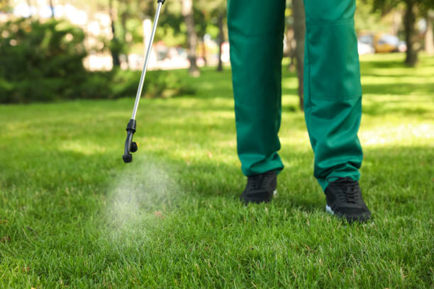 Flea Control Services in Cortland, IL