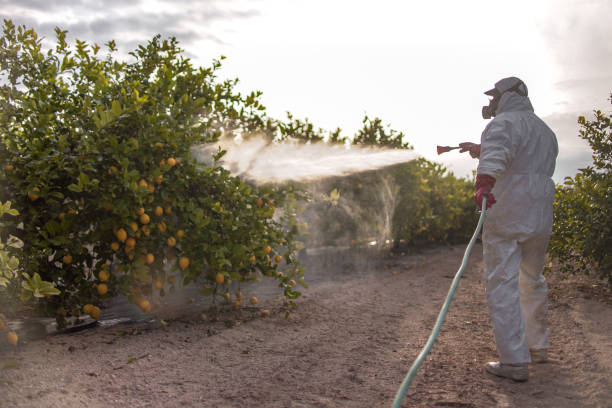 Best Pest Prevention Services  in Cortland, IL