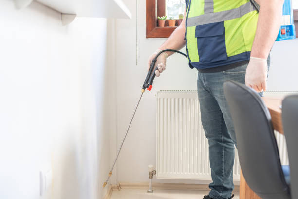 Best Flea Control Services  in Cortland, IL