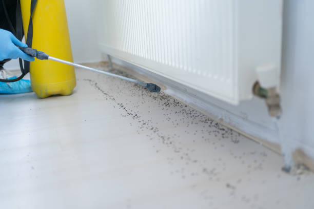 Best Residential Pest Control  in Cortland, IL