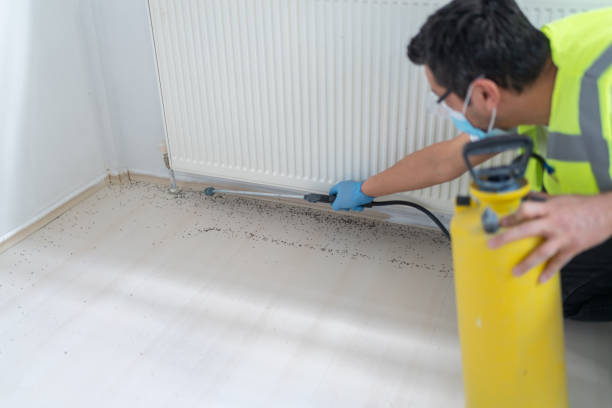 Best Cockroach Control Services  in Cortland, IL