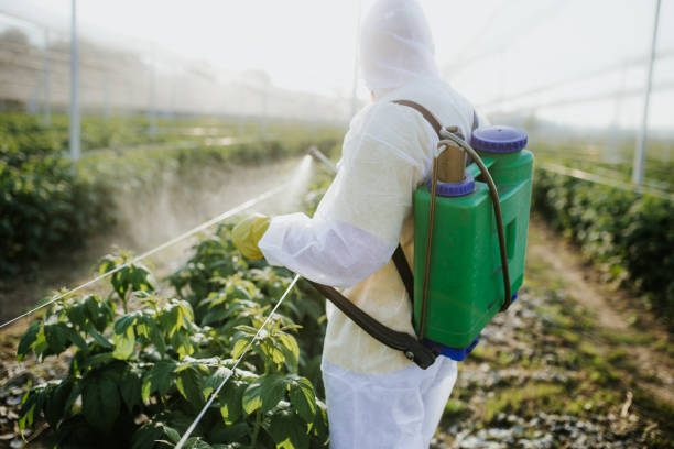 Best Pest Inspection Near Me  in Cortland, IL